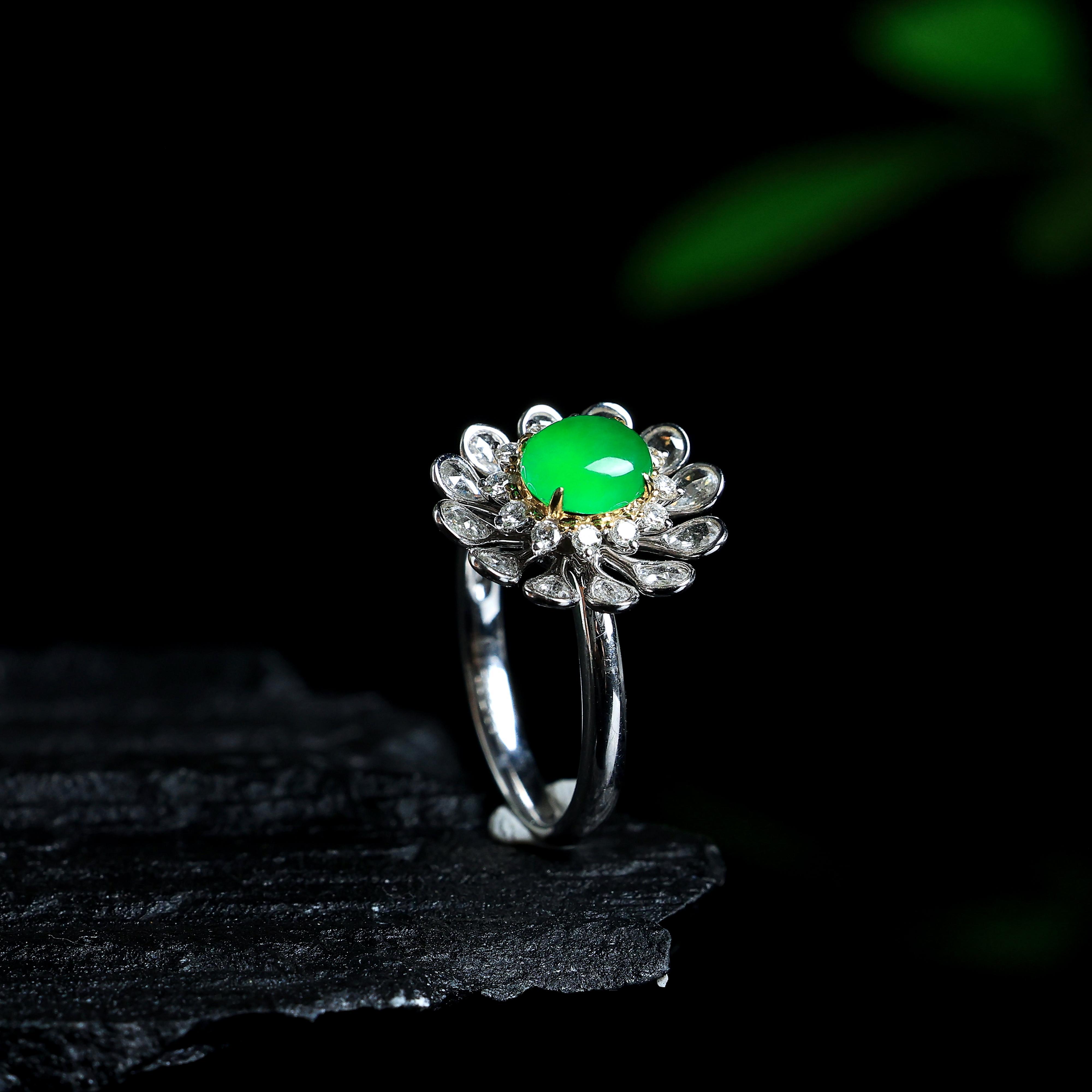 太陽花(huā)